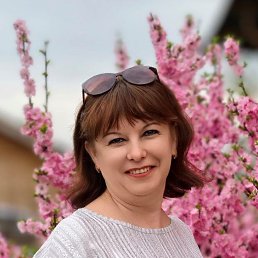 , 55, 
