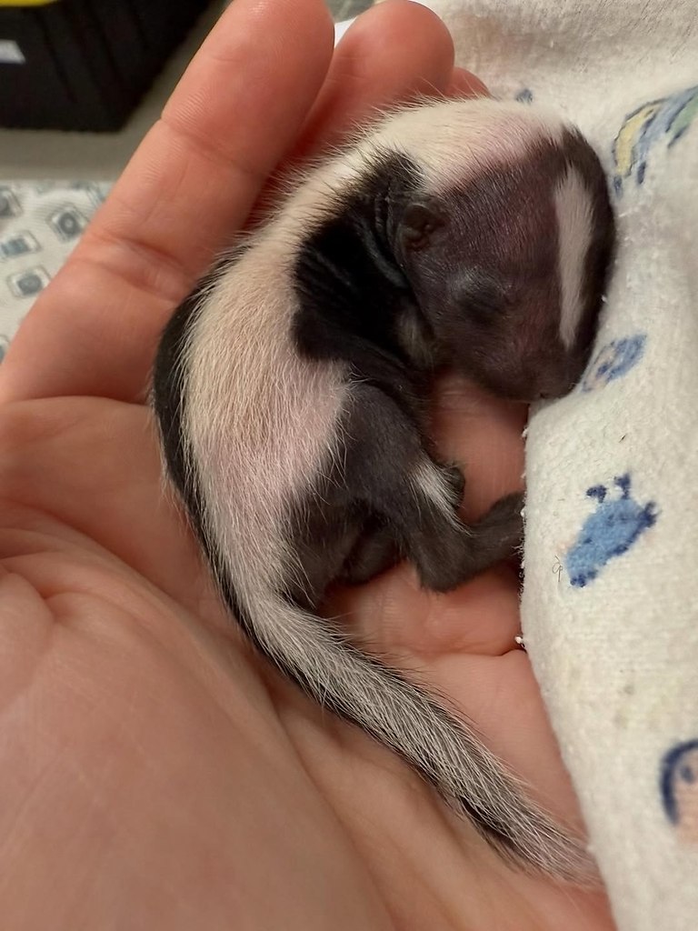  -    ?   !      ... - 4