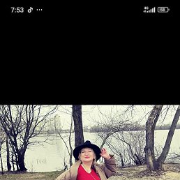 ���������, �����-���������, 46 ���