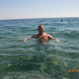 ���� �������, �����-���������, 42 ���� - ��������� 16 ������ 2026