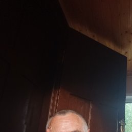 , 55, 