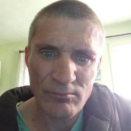 ���������, ����, 46 ���