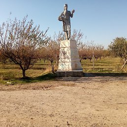 �������, �����-���������, 29 ���