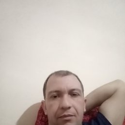 , 33, 