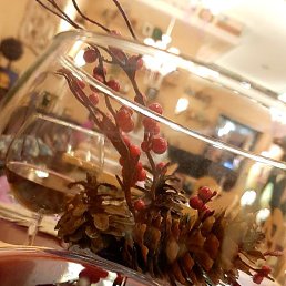 ���� ������, ������, 41 ��� - ��������� 14 ������ 2024