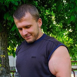 ������, �����, 44 ����