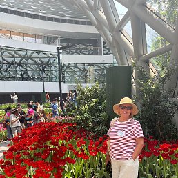 �����, ��������, 62 ����