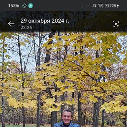 ��������, ������, 66 ���