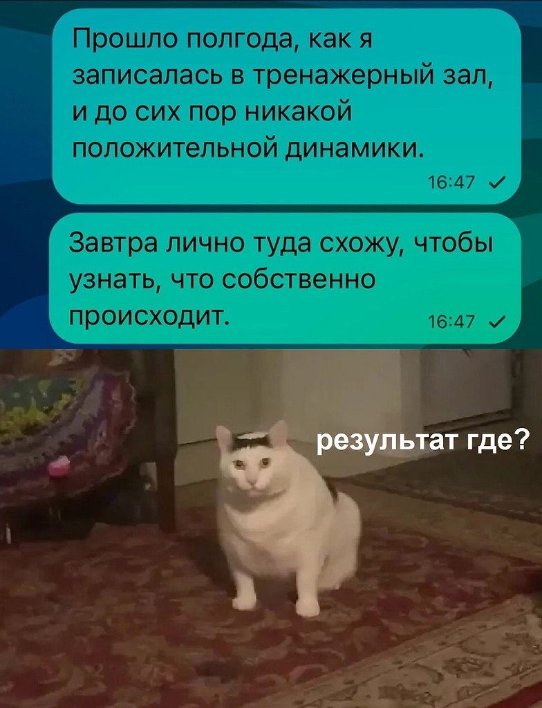   - 7  2025  20:11
