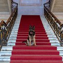 ���� ������, �������������-���������� - ��������� 26 ������� 2025 � ������ ������ ��������