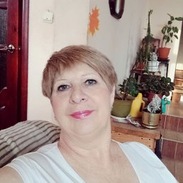 ���� �������, ��������, 60 ��� - ��������� 14 ������ 2026