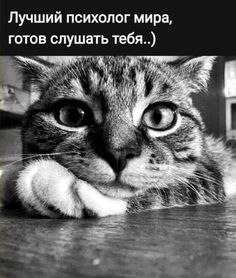   - 26  2024  08:23