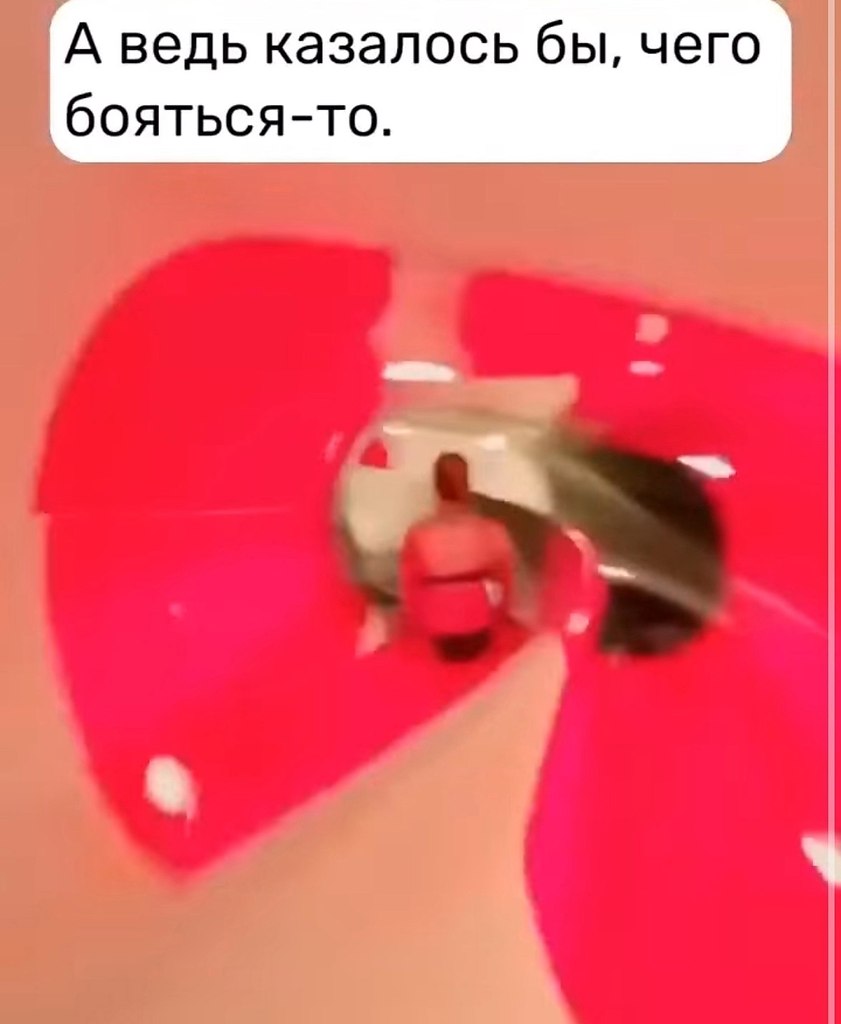  -   ,    .