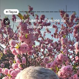 ������ �������, 67 ���, ������