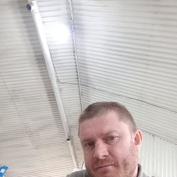 , 41, 