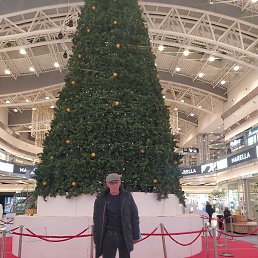 ����, �����-���������, 51 ���