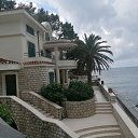  Aleksandar, , 59  -  7  2024    