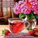 ���� �����, ������ - ��������� 14 ������� 2026 � ������ ������ ��������
