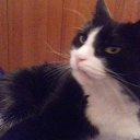 ��� �����. �� ������� ���� ����������