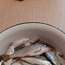 ���� �����., ��������, 67 ��� - ��������� 18 ������� 2025 � ������ ���� ����������