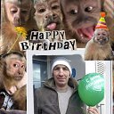 ���� ����, �����, 45 ��� - ��������� 27 ������� 2026 � ������ ���� ����������