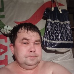 ���� ˸��, ��������, 40 ��� - ��������� 2 ������ 2024