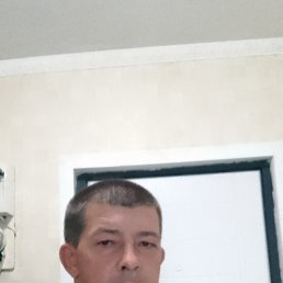 , 44, 