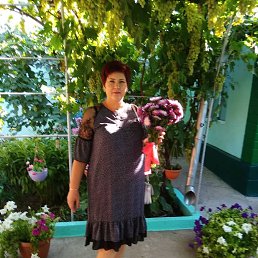, 61, 