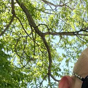 Valentin, 39 ���, �������������