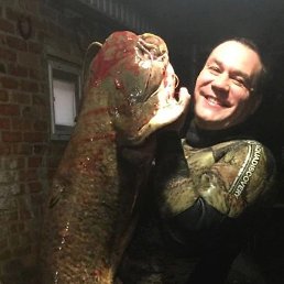 ����, �����������, 40 ���