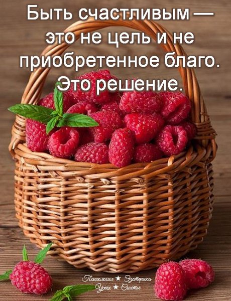 �������� ������ - 1 ���� 2026 � 13:37