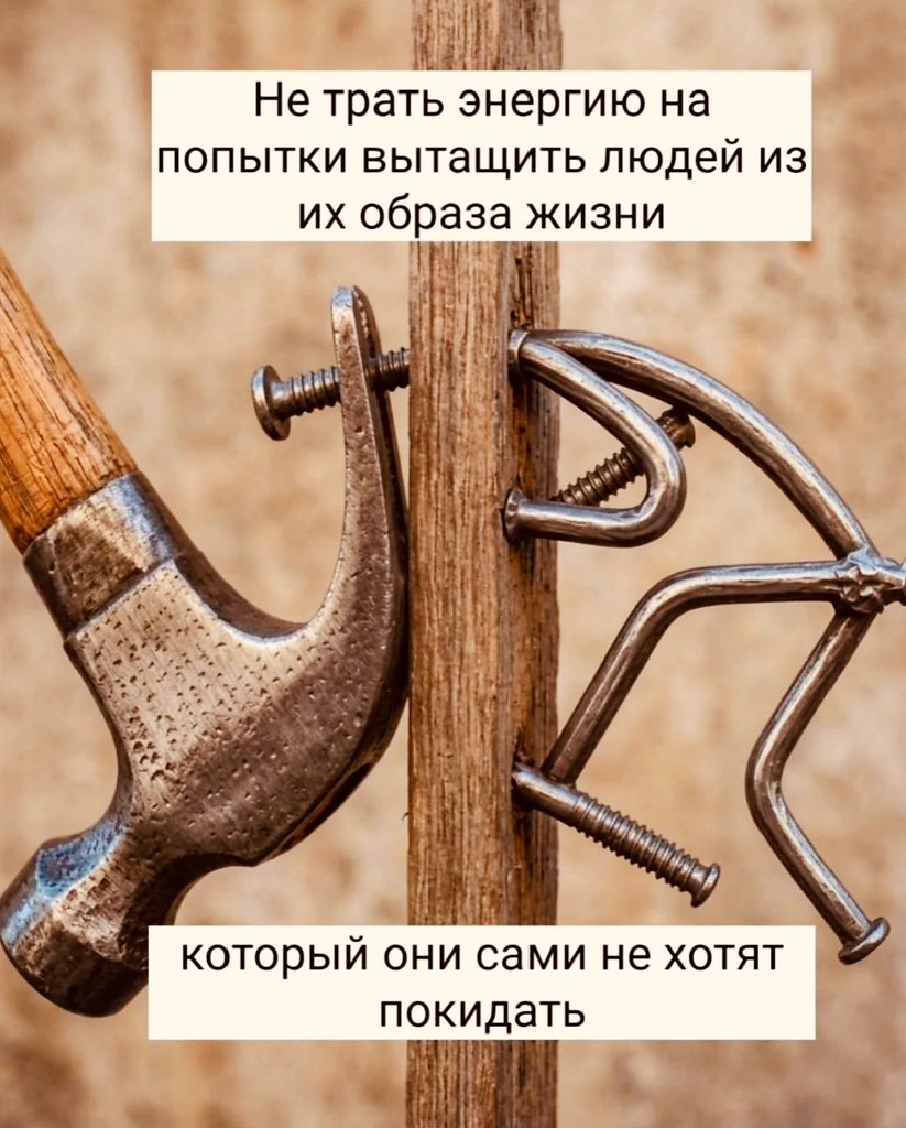 �������� ������ - 30 �������� 2026 � 02:42