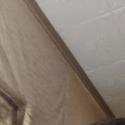 �����, 51 ���, �����-���������