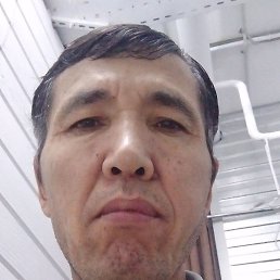 ����, ������, 49 ���