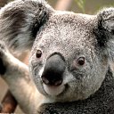 ���� ���������, �����-��������� - ��������� 12 ������ 2024