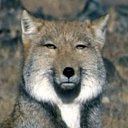 ���� �������, �����������, 35 ��� - ��������� 5 ����� 2024 � ������ ���� ����������