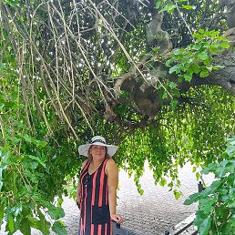 �����, ������, 52 ����