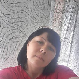 ���� �����, ������, 42 ���� - ��������� 29 ���� 2026