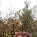 ���� �����, ������, 54 ���� - ��������� 6 ������ 2023 � ������ ���� ����������