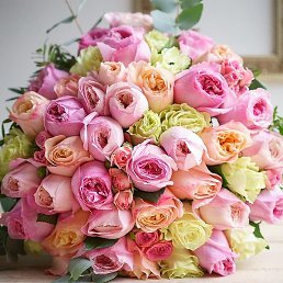 �������, ���������, 48 ���