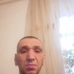 ���� ����, �����-���������, 40 ��� - ��������� 22 ������ 2026
