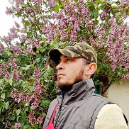 , 29 , 