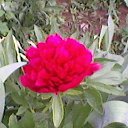 ���� �����, ������ - ��������� 23 ���� 2025 � ������ ���� ����������