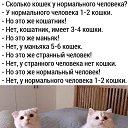 ���� ����, ��������� - ��������� 8 �������� 2026 � ������ ������ ��������