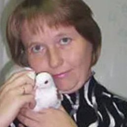, 48, -