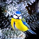 ���� �������@, �������� - ��������� 17 ������� 2026 � ������ ������ ��������