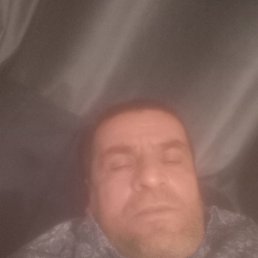 , 52, 