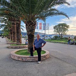 ����, ������, 67 ���