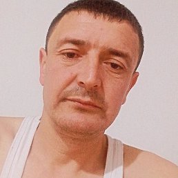 , 33, 