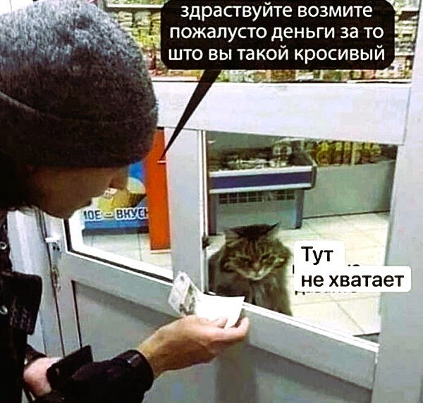  - 10  2024  17:59